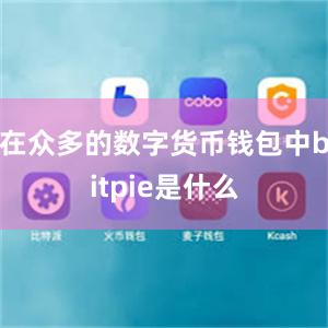 在众多的数字货币钱包中bitpie是什么