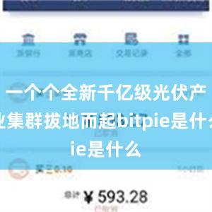 一个个全新千亿级光伏产业集群拔地而起bitpie是什么