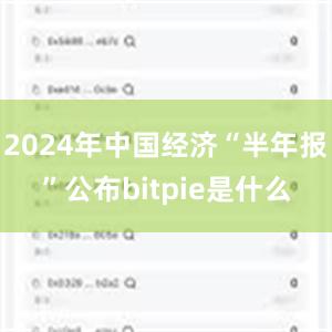 2024年中国经济“半年报”公布bitpie是什么