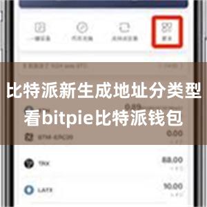 比特派新生成地址　　分类型看bitpie比特派钱包