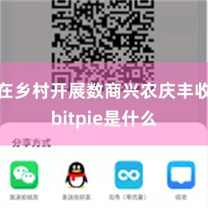 在乡村开展数商兴农庆丰收bitpie是什么